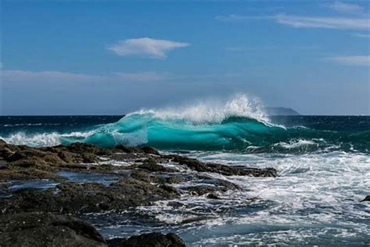 梦到巨大的海浪扑过来