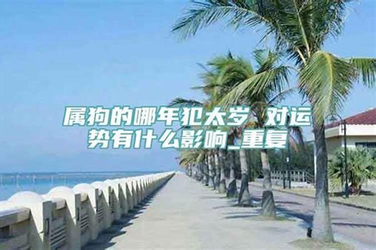 犯太岁影响哪个方面