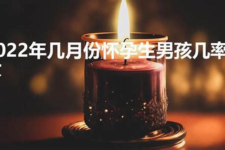 属猪今年几月怀孕生男孩