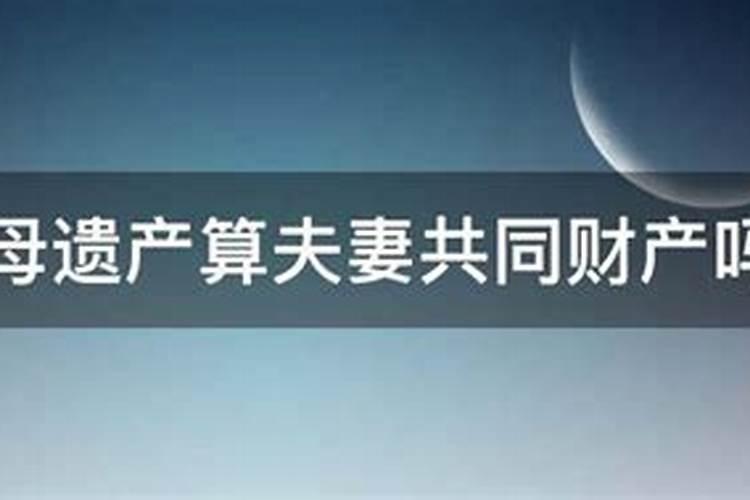 1983年猪与2023年运势