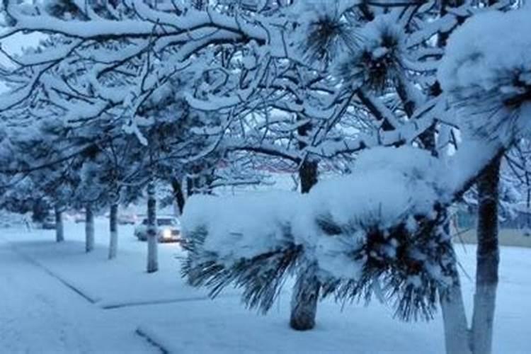 怀孕期间梦到下雪是什么意思