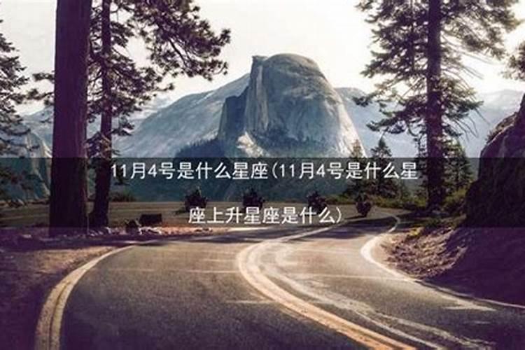 11月4号是什么星座