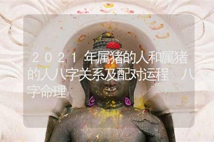 2021年属猪人流年运势