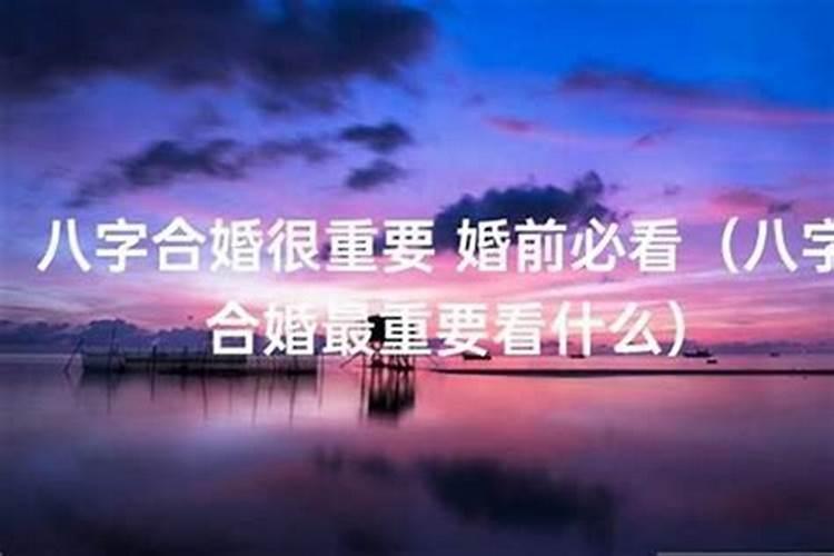 八字没有合的人会怎样