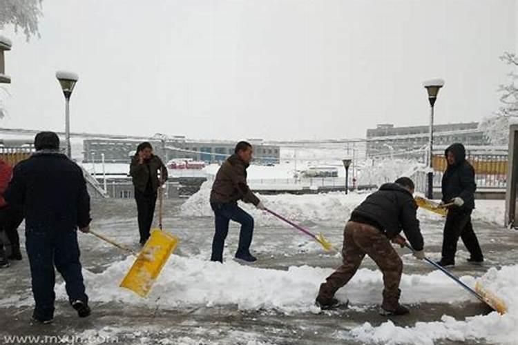 梦见铲房子上的雪