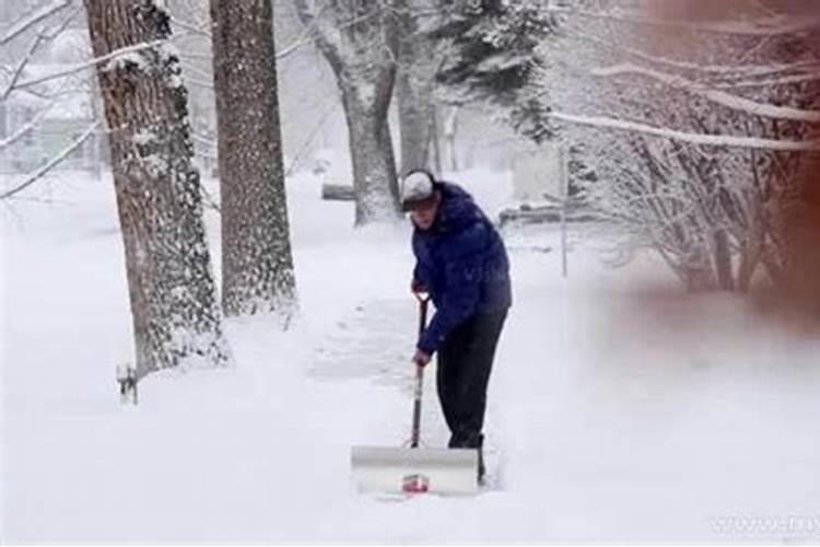 梦见铲房子上的雪