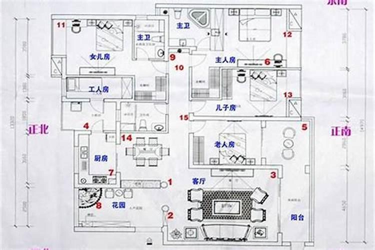 偏印格喜水木2024年运势