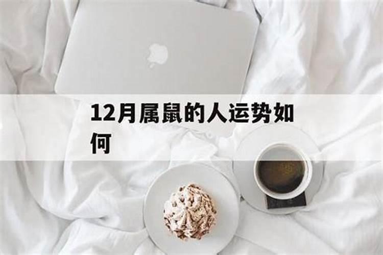 12月份属鼠人运程如何