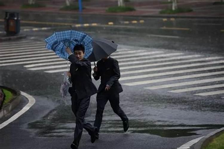 梦到下雨天走路回家