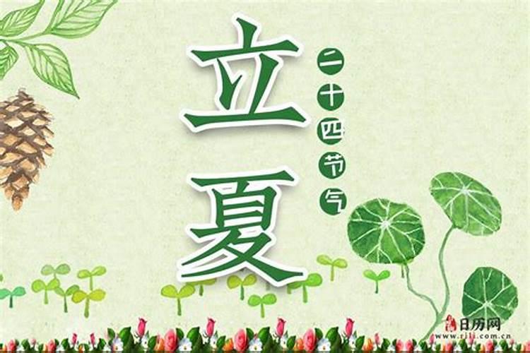 立夏是今年的哪一天