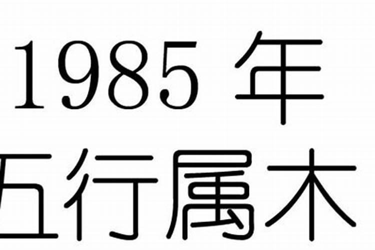 1985是什么命