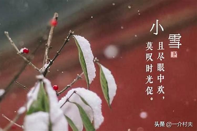 哪个时候冬至不下雪