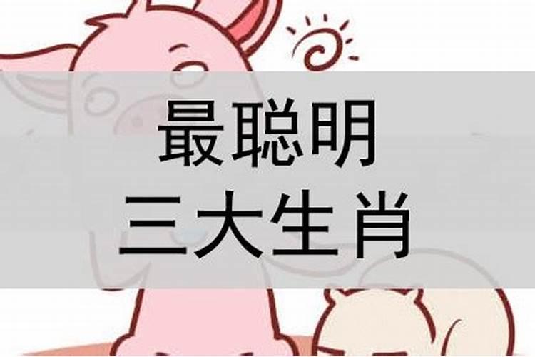 12生肖智商高低排行榜