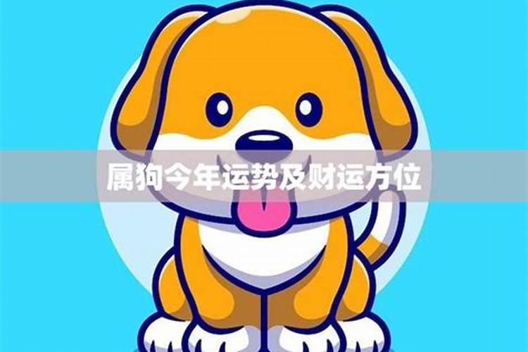 生肖狗三合怎样排列好