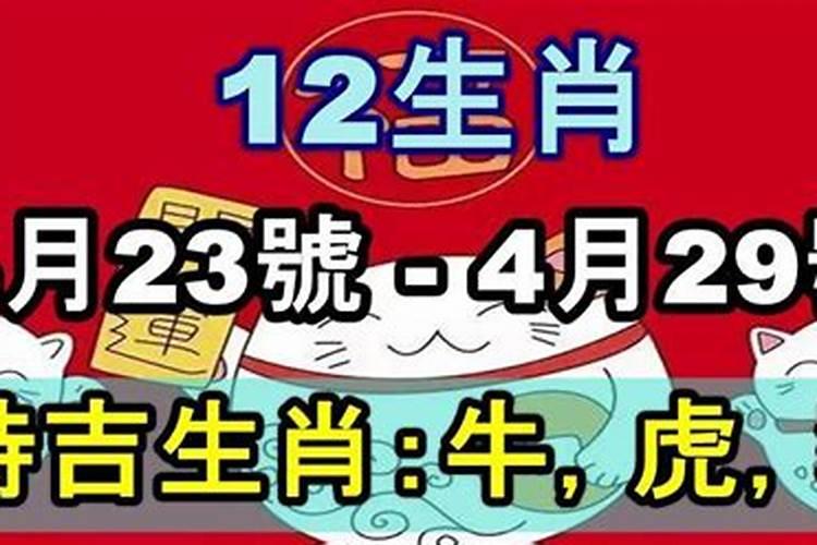 今日特吉生肖2020