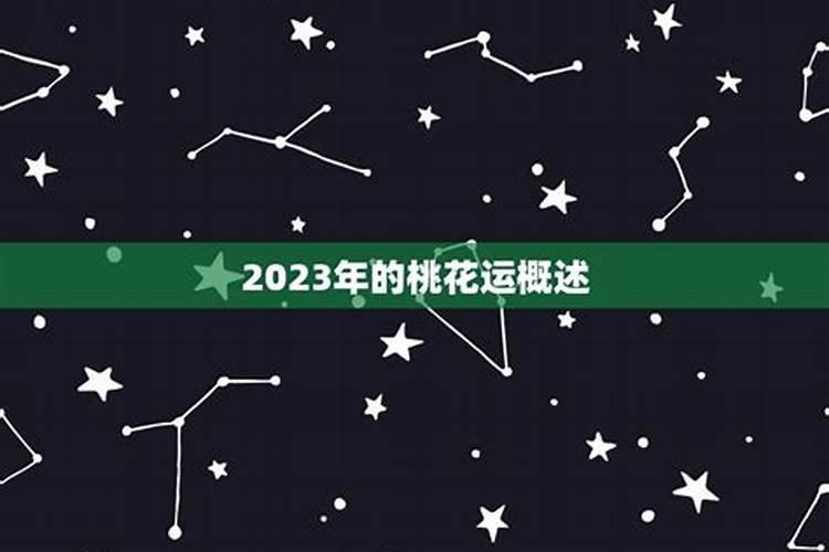 十二生肖2023年桃花运