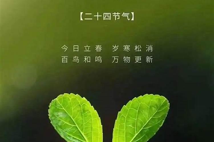 立春后春节前出生的八字