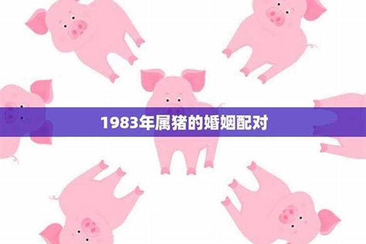 1983年属猪的婚姻