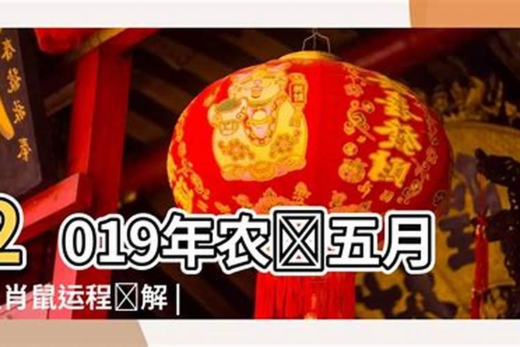 属鼠今年农历五月份运程