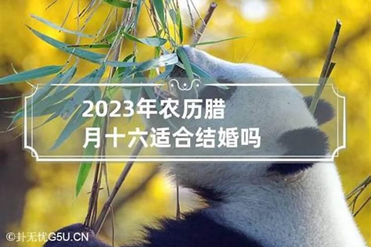 2023年农历腊月二十二