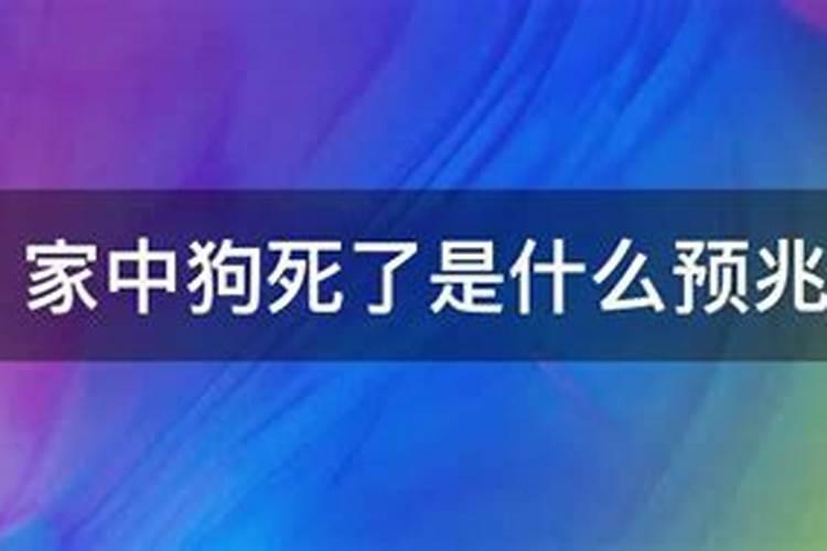 梦见了哥哥亲我的嘴巴好不好