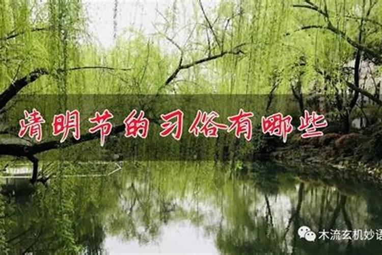 寻乌清明节风俗