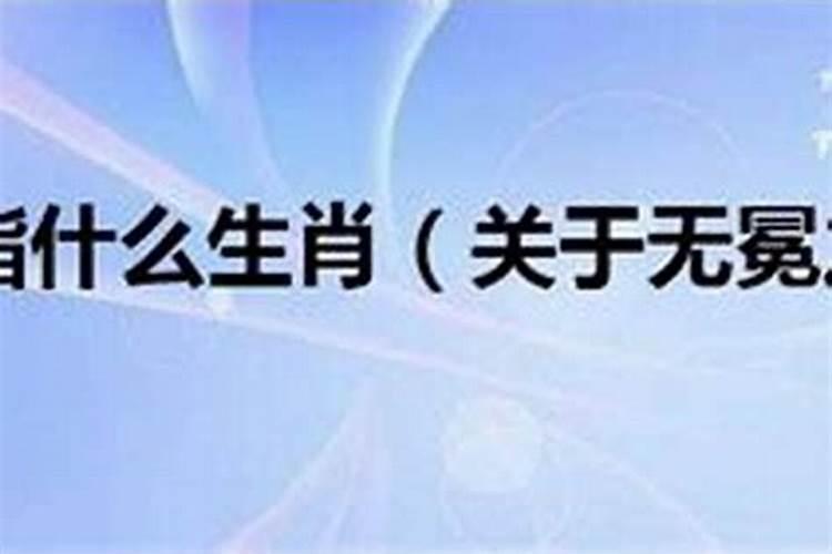 1951年属兔一生命运