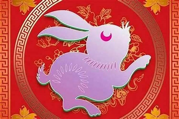 属兔的男士今年婚姻运势