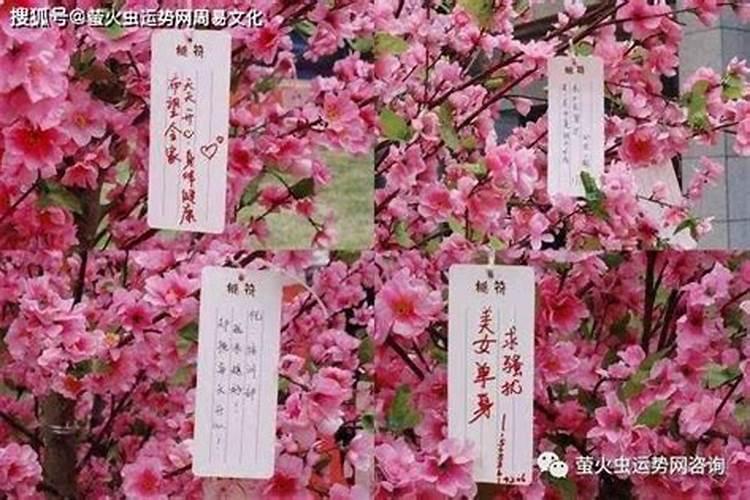 女带桃花煞能改吗