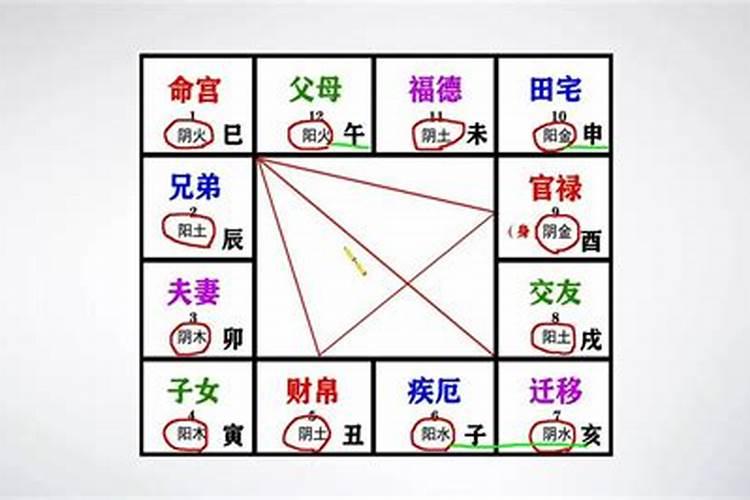 八字和紫微斗数哪个准