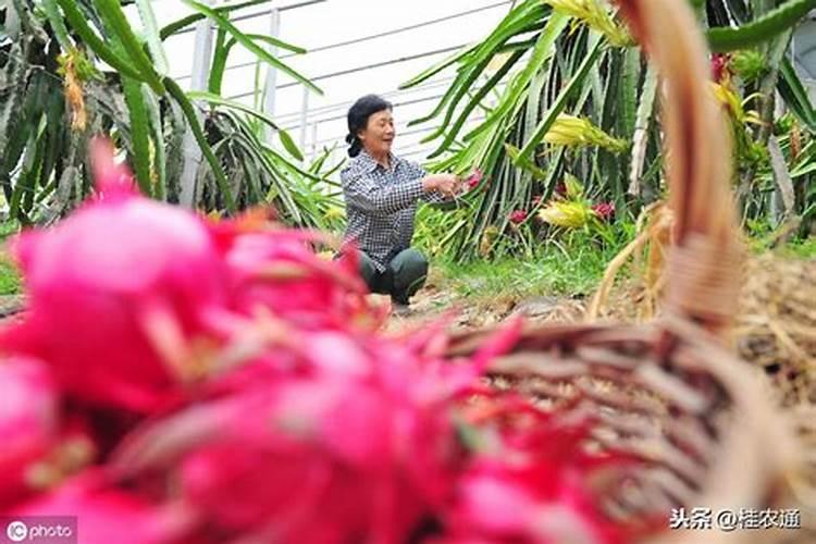 桂平风水宝地在哪里