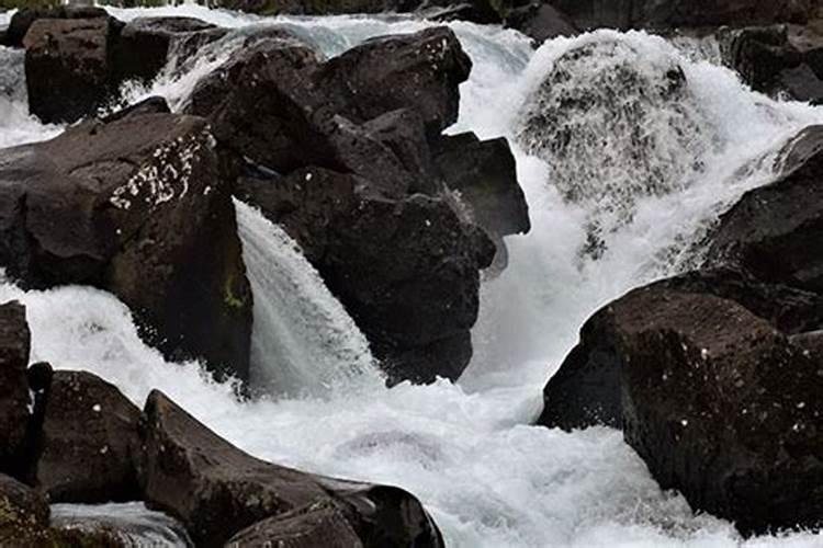 梦见洪水上涨往山上跑