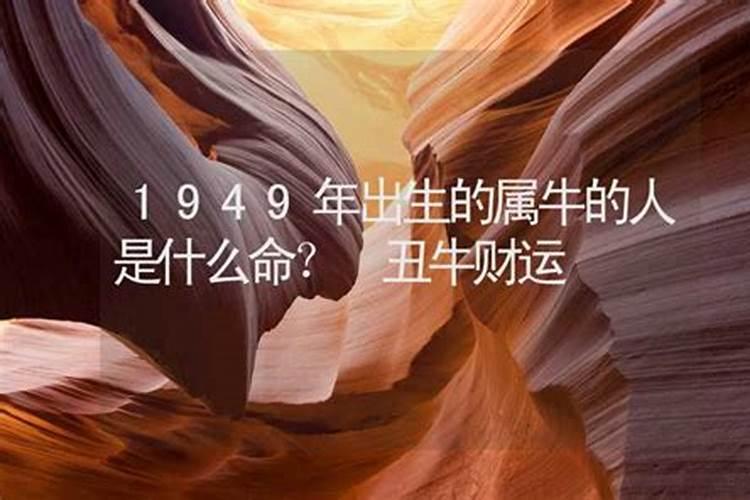 1949年出生的人是什么命运