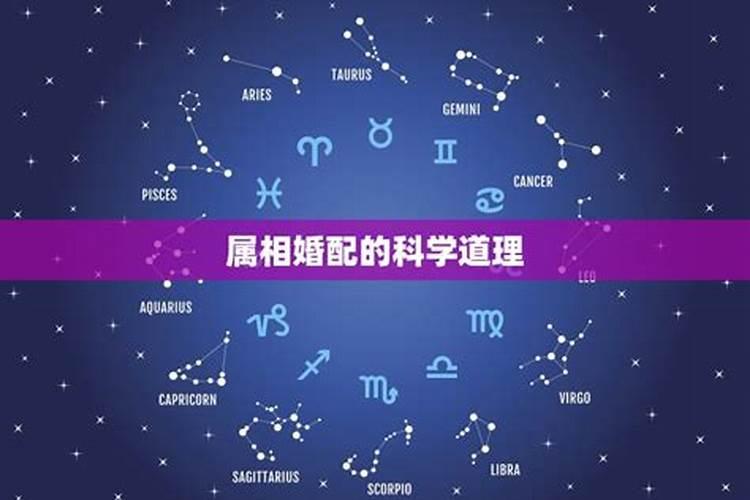 梦见自己的眉毛长成一字眉