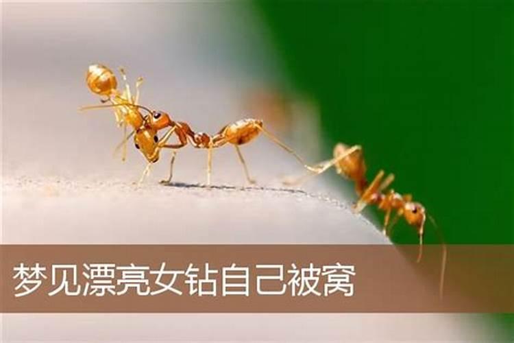 冬至晚上要注意啥事项