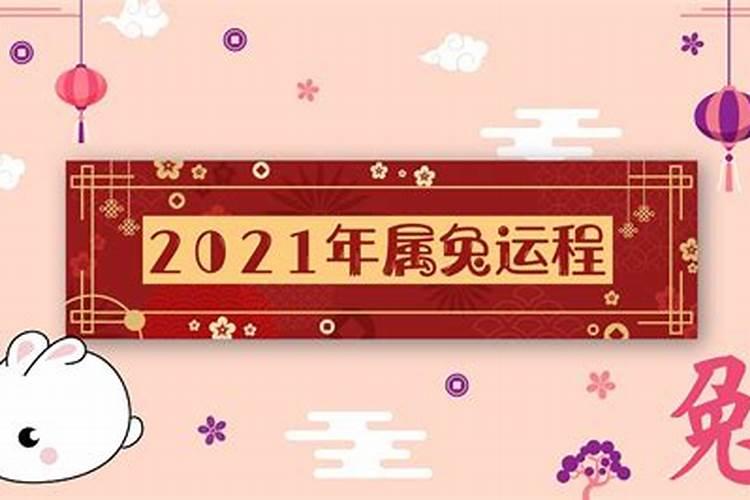 2021年属兔运势