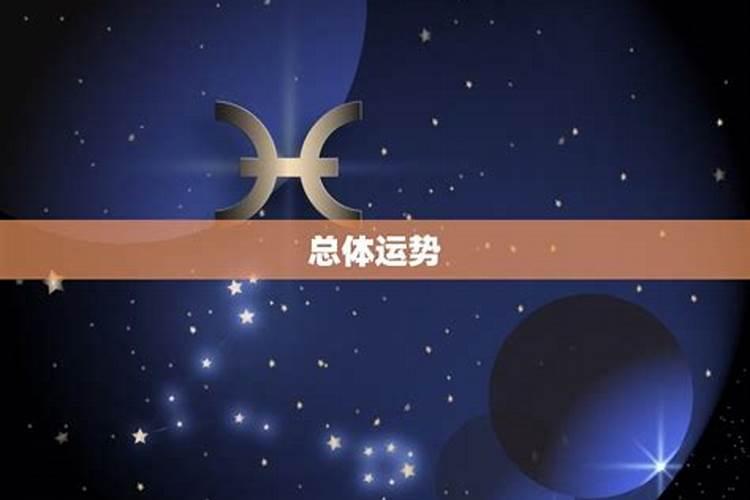 属蛇2023今年运势如何