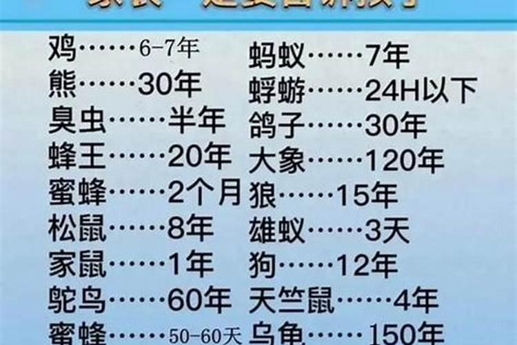 52年属龙男寿命有多长