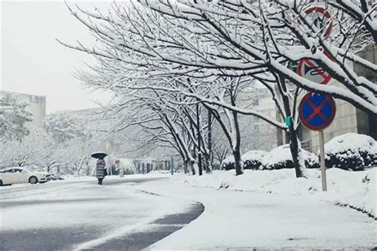 梦见飘雪花什么意思