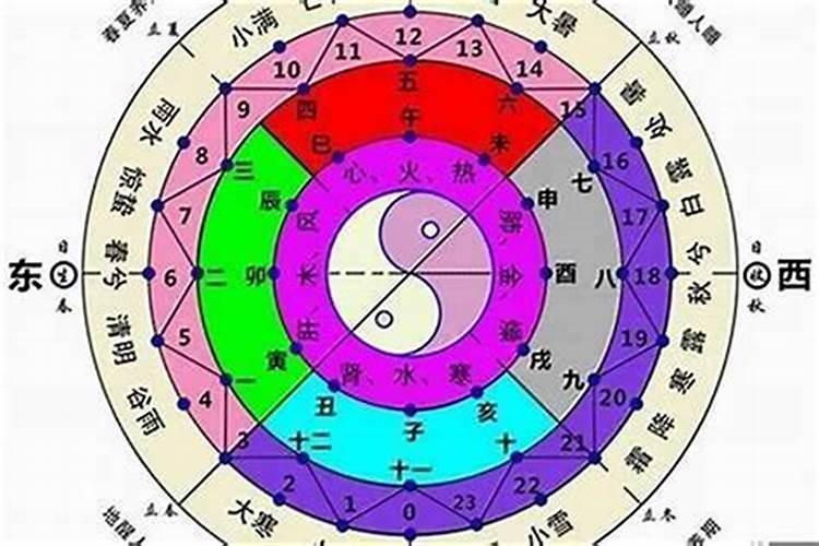 八字排盘年柱什么意思呀