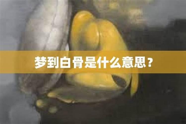 梦见踩到白骨什么意思呀