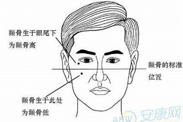 怀孕做梦梦到墓地什么预兆