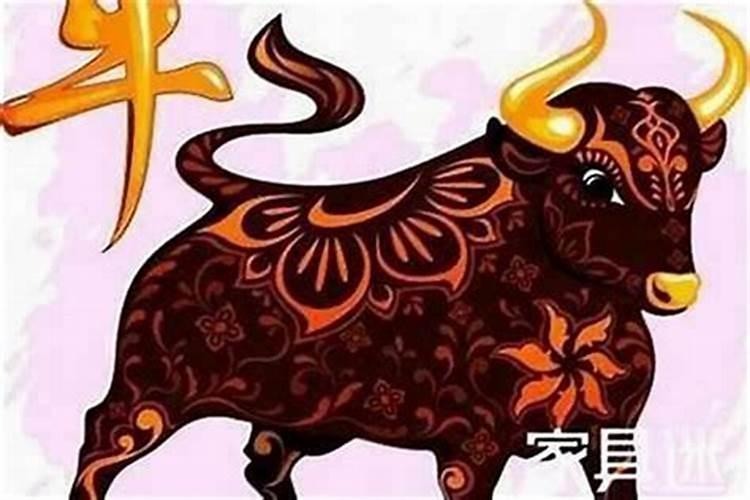 牛年今年运势佩戴什么