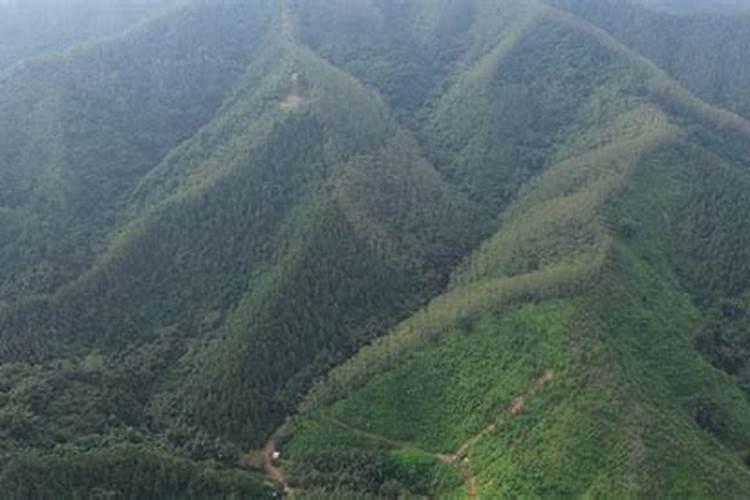 吴川风水宝地坟墓