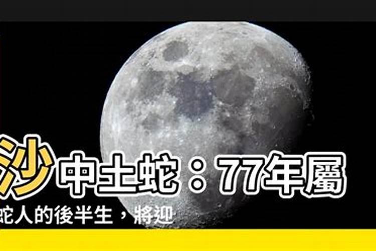 沙中土命2023年运势