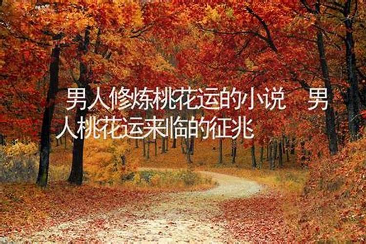 男的桃花运是什么意思