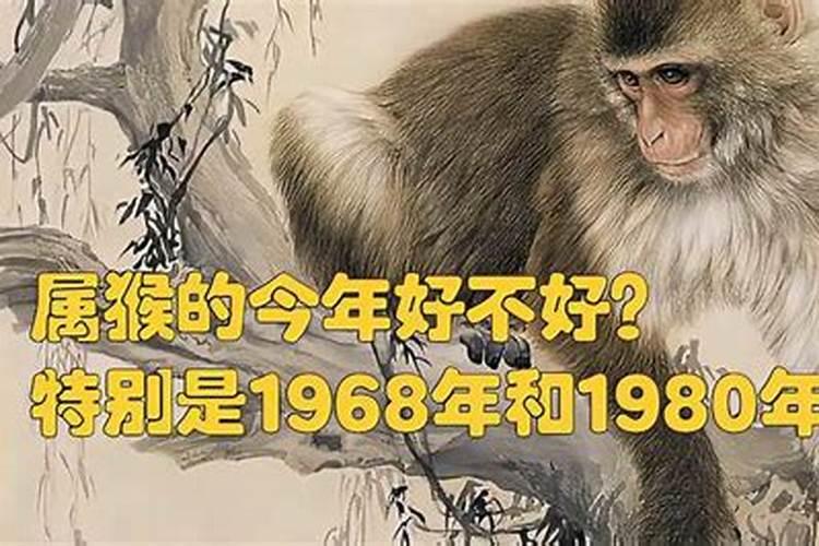 属猴1968出生今年运气