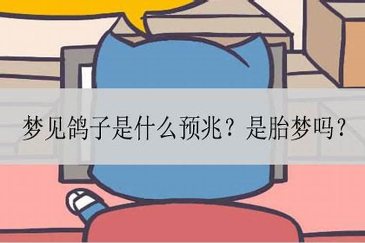 梦见三只鸽子是什么预兆解梦女人怀孕