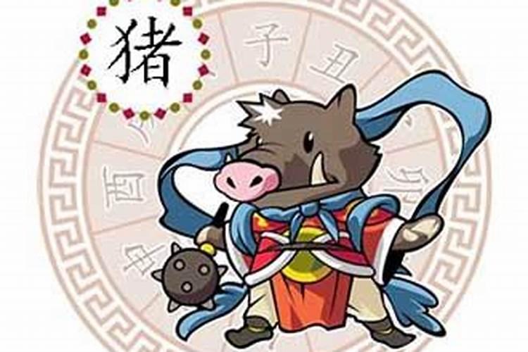 2022年属猪人每月运程分折