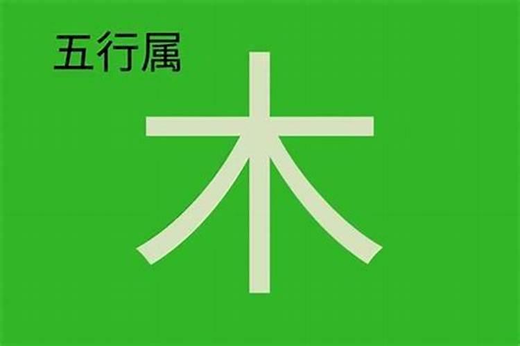 木字属什么生肖